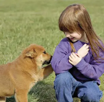 Ob sich ein Hund gut mit Kindern verträgt hängt auch davon ab wie die Kinder - фото 76