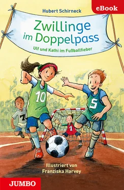 Hubert Schirneck Zwillinge im Doppelpass обложка книги