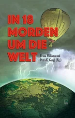 Heidi Troi - In 18 Morden um die Welt