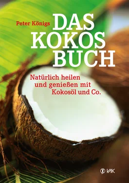 Peter Königs Das Kokos-Buch обложка книги