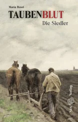 Maria Bosri - Taubenblut. Die Siedler