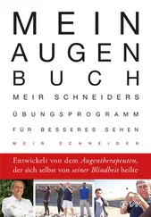 Meir Schneider - Mein Augen-Buch