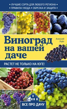 Алексей Райт Виноград на вашей даче. Растет не только на юге! обложка книги