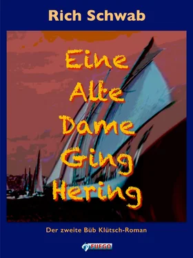 Rich Schwab Eine Alte Dame Ging Hering обложка книги