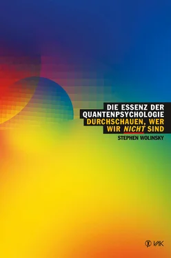 Stephen Wolinsky Die Essenz der Quantenpsychologie обложка книги
