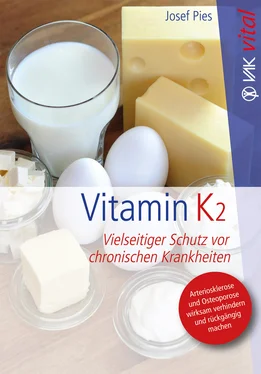 Josef Pies Vitamin K2 обложка книги