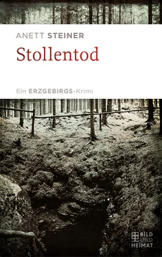 Anett Steiner Stollentod обложка книги