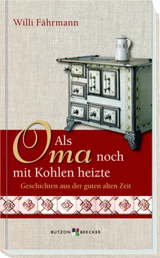 Willi Fahrmann Als Oma noch mit Kohlen heizte обложка книги