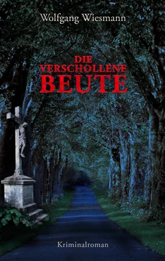 Wolfgang Wiesmann Die verschollene Beute обложка книги