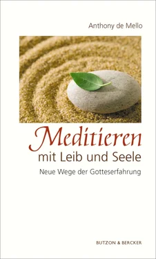 Anthony de Mello Meditieren mit Leib und Seele обложка книги