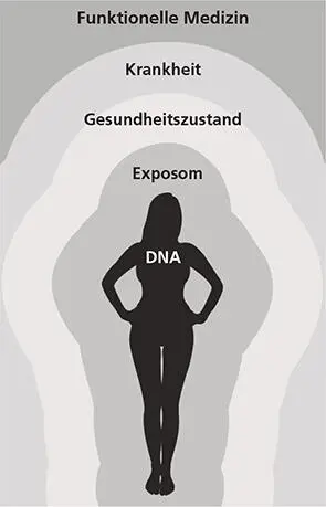 Die DNA verändert sich langsam aber die Genregulation kann sich rasch ändern - фото 3