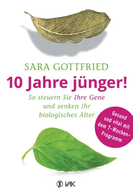 Sara Gottfried 10 Jahre jünger! обложка книги