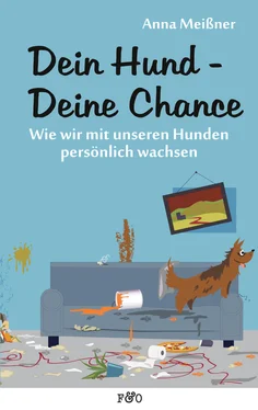 Anna Meißner Dein Hund - Deine Chance обложка книги