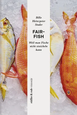 Billo Heinzpeter Studer fair-fish обложка книги