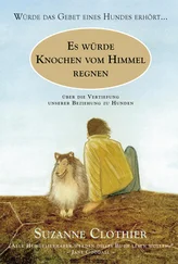 Suzanne Clothier - Es würde Knochen vom Himmel regnen…