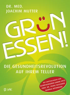 Joachim Mutter Grün essen! обложка книги