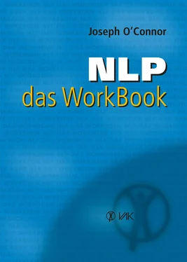 Joseph O'Connor NLP - das WorkBook обложка книги