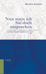 Monika Stocker - Nun muss ich Sie doch ansprechen