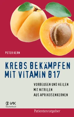 Peter Kern Krebs bekämpfen mit Vitamin B17 обложка книги