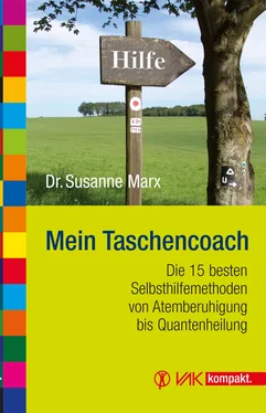 Susanne Marx Mein Taschencoach обложка книги