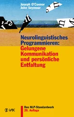 John Seymour - Neurolinguistisches Programmieren - Gelungene Kommunikation und persönliche Entfaltung