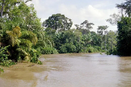 Der Amazonas ist je nach Messung mit 6 800 oder 6 400 m der größte oder - фото 9