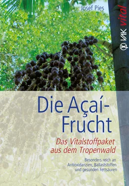Josef Pies Die Açaí-Frucht обложка книги