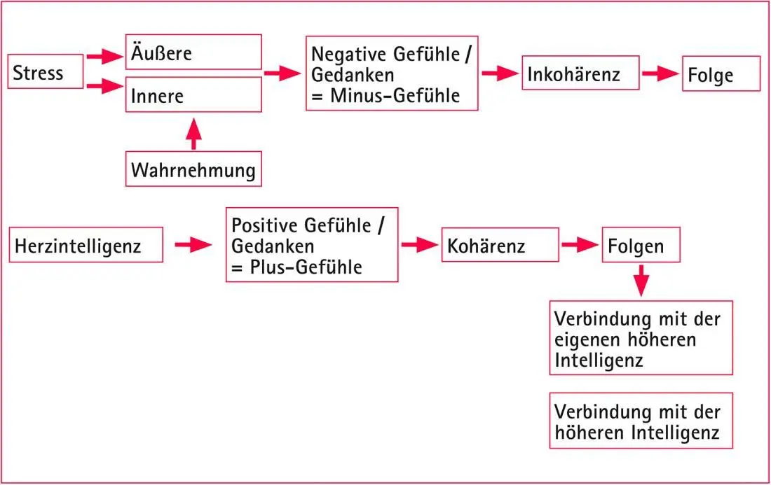 B Was ist Stress und wie entsteht er Sehen wir uns nun die einzelnen - фото 1