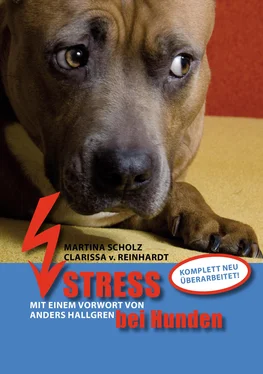 Clarissa v. Reinhardt Stress bei Hunden обложка книги