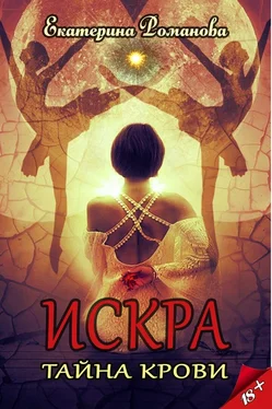 Екатерина Романова Искра. Тайна крови обложка книги