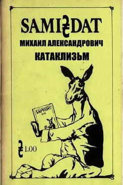 Михаил Александрович Катаклизм обложка книги