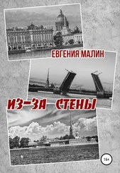 Евгения Малин - Из-за стены
