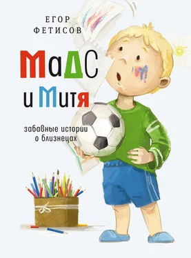 Егор Фетисов Мадс и Митя. Забавные истории о близнецах обложка книги