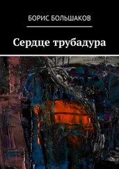 Борис Большаков - Сердце трубадура