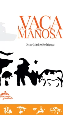 Ómar Marino Rodríguez La vaca mañosa обложка книги