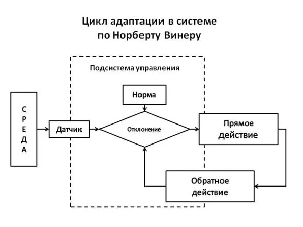 Рис 11 Цикл адаптации системы по Н Винеру А наш случай требует критериев - фото 1