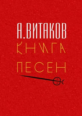 Алексей Витаков Книга песен. Серия «Библиотечка #здд» обложка книги