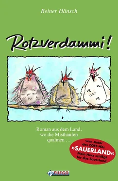 Reiner Hänsch Rotzverdammi! обложка книги