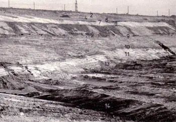 Geologische Abfolge im Tagebau KulkwitzMiltitz Vor allem seiner klaren - фото 68
