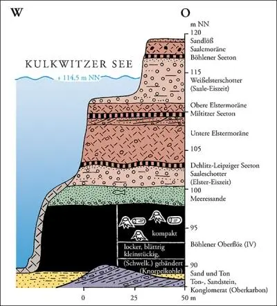 Geologischer Schnitt durch den Kulkwitzer See Kulkwitzer See Mülldeponie - фото 72