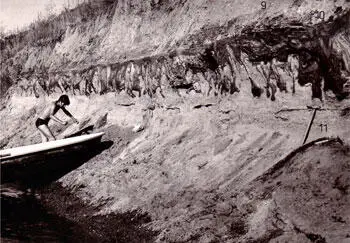 Der Lausener Tropfenboden als Zeuge jahreszeitlicher Auftauprozesse des - фото 70