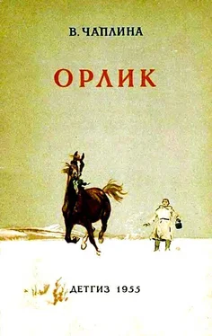 Вера Чаплина Орлик обложка книги