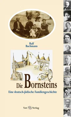 Ralf Bachmann Die Bornsteins обложка книги