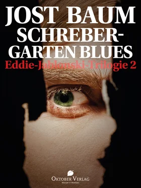 Jost Baum Schrebergarten Blues обложка книги