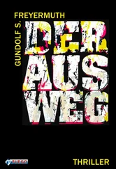 Gundolf S. Freyermuth - Der Ausweg