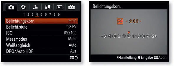 2 Drücken Sie das Einstellrad links oder rechts um das Foto abzudunkeln oder - фото 44