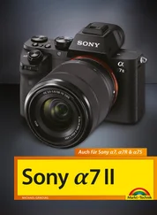 Michael Gradias - Sony α7 II Handbuch