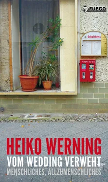 Heiko Werning Vom Wedding verweht обложка книги
