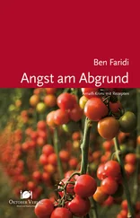Ben Faridi - Angst am Abgrund