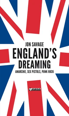 Jon Savage England's Dreaming [Deutschsprachige Ausgabe] обложка книги